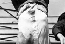 Il Duce si è suicidato? Un’ipotesi non peregrina